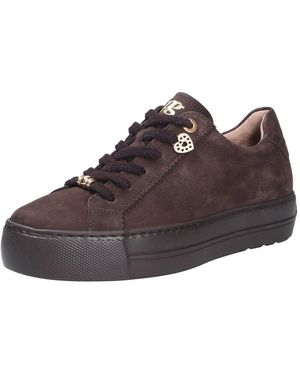 Paul Green Sneakers - Marrone