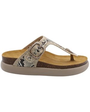 Scholl Flip Flops - Bruin