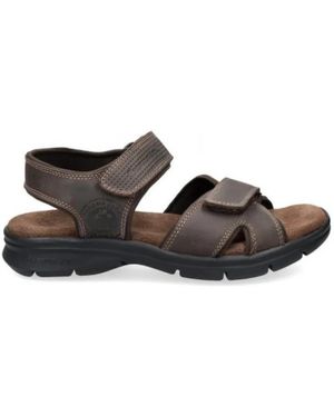 Panama Jack Flat Sandals - Marrone