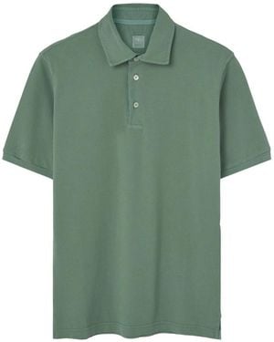 Fedeli Polo Shirts - Verde
