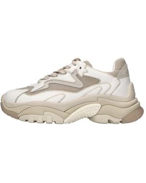 Ash Sneakers - Blanco