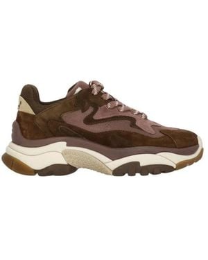 Ash Sneakers - Marron