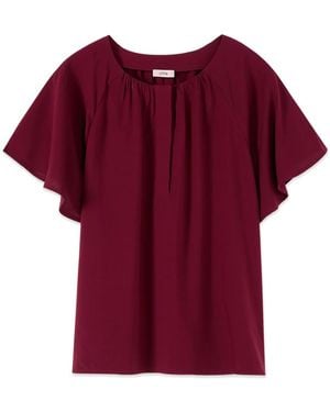 Oltre Blouses - Morado