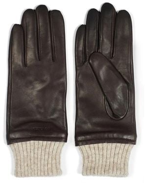 Howard London Gloves - Black