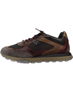 Cetti Sneakers - Marrone