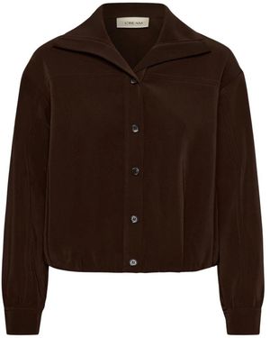 Cream Shirts - Marron