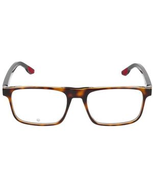 Nike Glasses - Brown