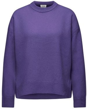 DRYKORN Truien & Vesten ,Paars ,Wol Liziela 10 Ronde Hals Trui
