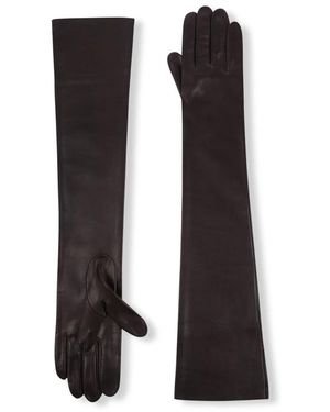 Cortana Gloves - Brown