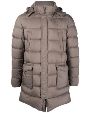 Herno Down Jackets - Braun