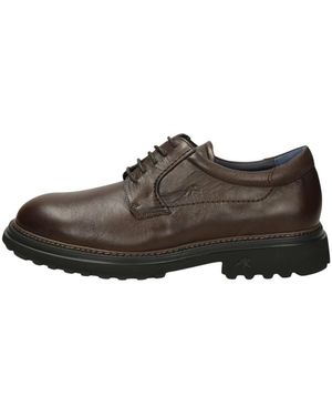 Fluchos Lincon - Braun