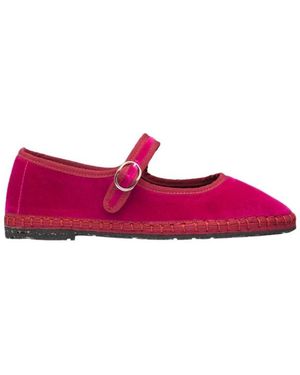 Flabelus Mercedita Pip - Paars