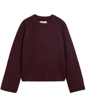Barbour Trui Met Ronde Hals - Paars