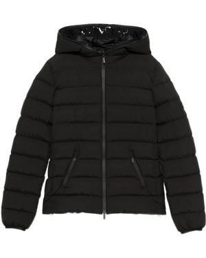 Moncler Winter Jackets - Black