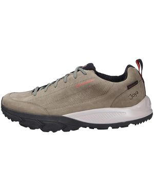 Joya Sneakers - Marron