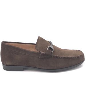 Stonefly Schoenen ,Bruin ,Leer Zomerse Moccasin