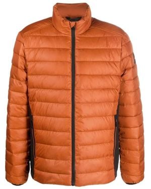 Calvin Klein Winter Jackets - Orange
