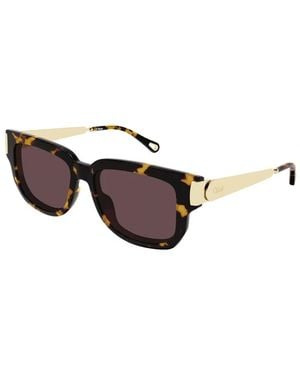 Chloé Holly Sonnenbrille - Braun