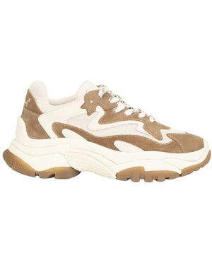 Ash Trainers - Natural