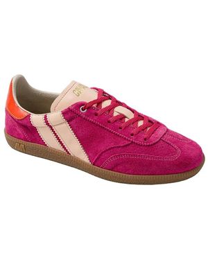 Cavallaro Napoli Sneakers - Rose