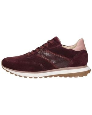 Gabor Sneakers Laag - Braun