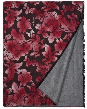 Kiton Winter Scarves - Morado