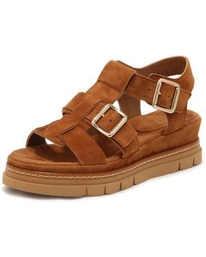 Luca Grossi Wedges - Brown