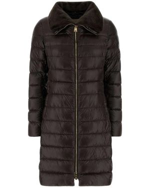 Herno Jassen ,Bruin ,Down Coats - Zwart