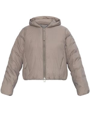 Canada Goose Jassen ,Grijs ,Elba Jacket