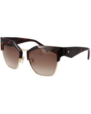 Police Sunglasses - Brown