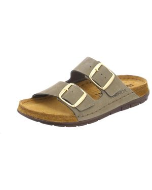 Rohde Sliders - Vert