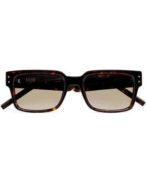 Kaleos Eyehunters Sunglasses - Brown