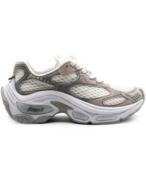 Ash Dragon Panelled Sneaker - Grau