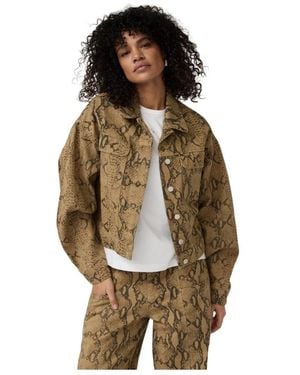 Alchemist Light Jackets - Marrone