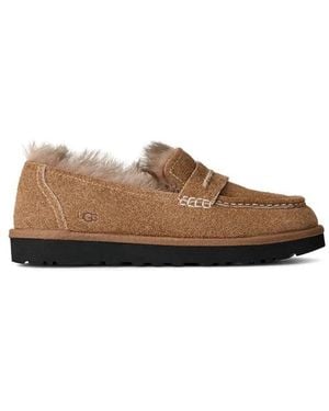UGG Ellis Loafer - Bruin