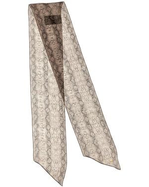 Saint Laurent Silky Scarves - Gris