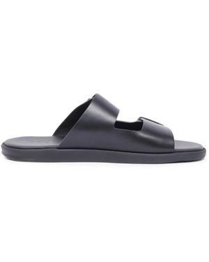 Doucal's Sliders - Azul