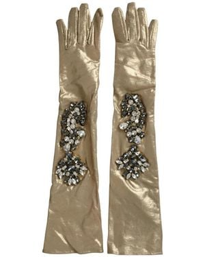 Dolce & Gabbana Ellbogenlange, Verzierte Handschuhe Aus Satin - Mettallic