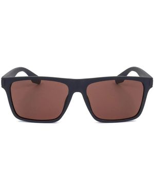 Calvin Klein Sunglasses - Marrone