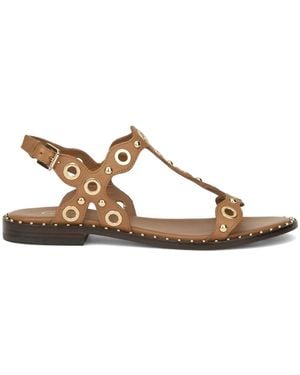 Ash Flat Sandals - Marrón