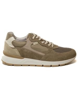 Nero Giardini Sneakers - Grigio