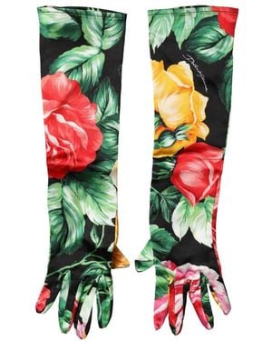 Dolce & Gabbana Gloves - Green
