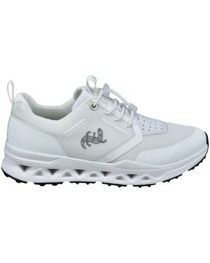 Salamander Sneakers - Gris