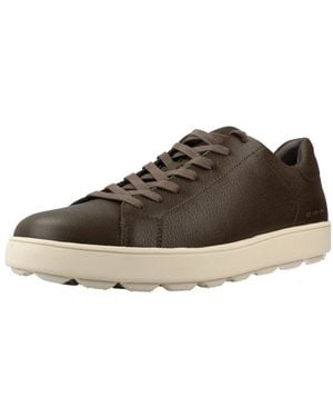 Geox Sneakers - Braun