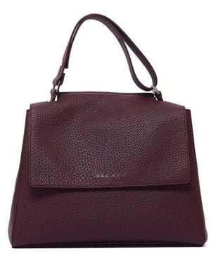 Orciani Handbags - Viola