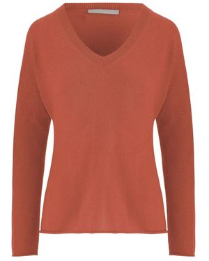 Allude Cashmere Knitwear - Orange