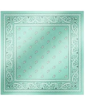 Weekend by Maxmara Scarves - Verde