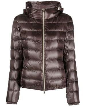 Herno Down Jackets - Brown