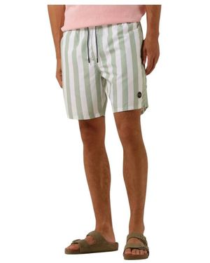 Shiwi Badmode ,Groen ,Swimshort Broad Stripe - Naturel