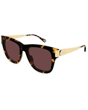 Chloé Ch0349S 003 Sonnenbrillen - Braun